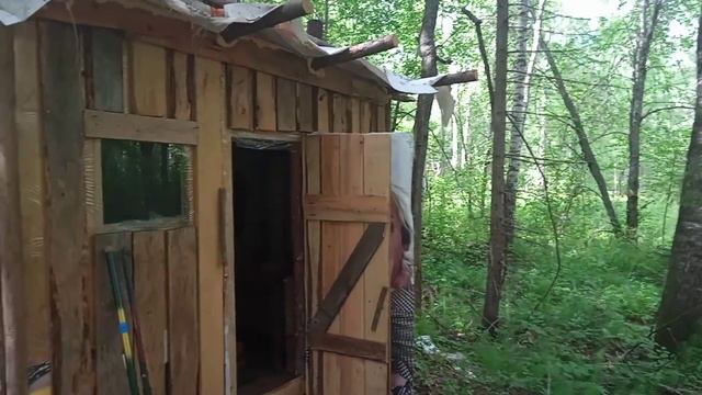 Нежданные ГОСТИ! Пришли к дальней избушке. Поиски таёжного счастья. Life in the forest.