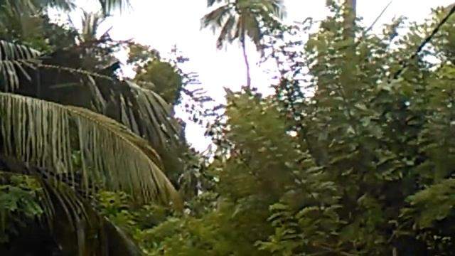 Летающие обезьяны. смотреть онлайн