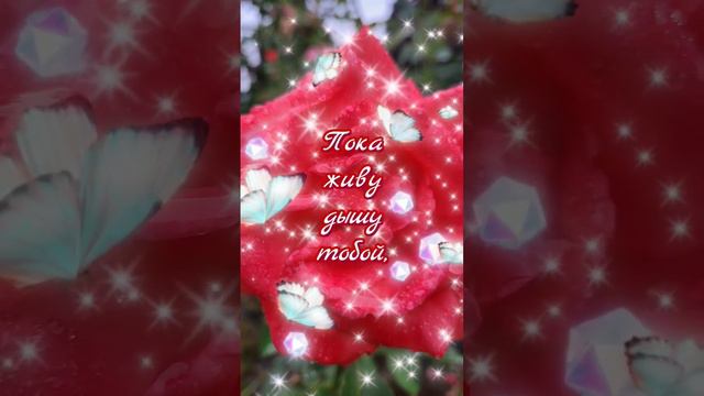 Ты самое дорогое что у меня есть♥️#смс #любимой #любовь #love #признаниевлюбви #видеооткрытки