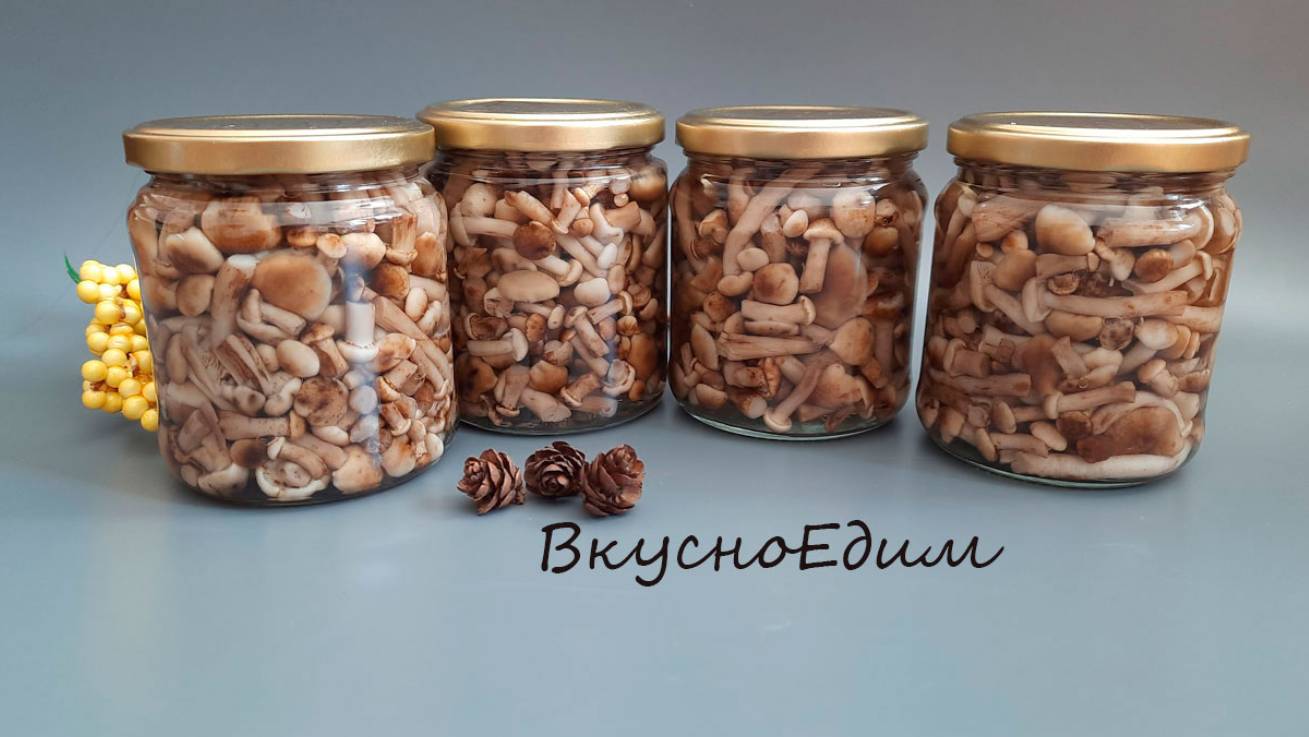 ОПЯТА МАРИНОВАННЫЕ/ заготовки из грибов на зиму смотреть онлайн