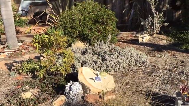 Сегодня 24 ноября. Today Is 24 November. #доманапродажу #home #GetekC