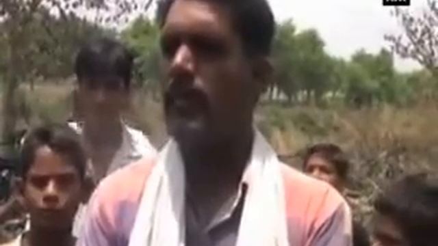 Python lays 25 eggs, locals panic смотреть онлайн