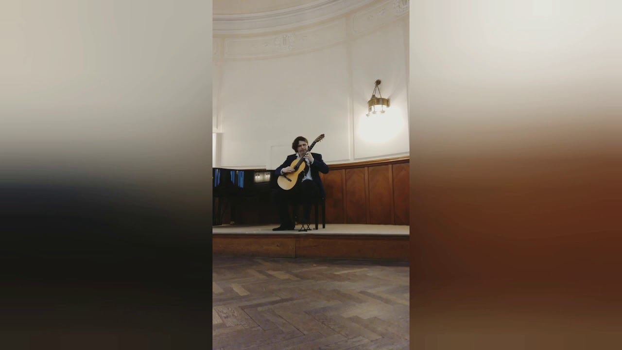 S. Assad. Valseana From Aquarelle. Forum Gitarre Wien, Vladimir Gapontsev.