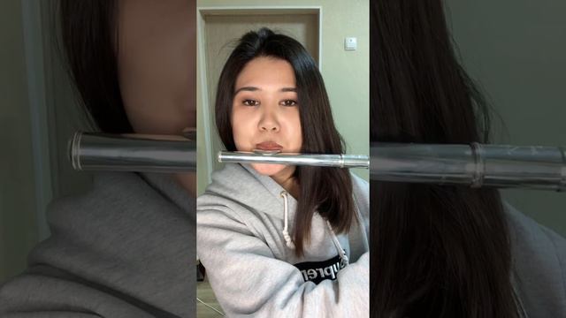 Музыка из форсажа-When I See You Again-Wiz Khalifa,CharliePuth (На флейте)