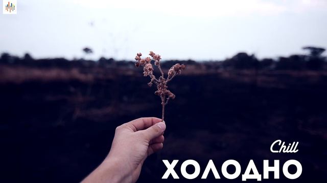 Chill 209 (12.11.18) Холодно смотреть онлайн