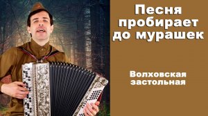 ВОЛХОВСКАЯ ЗАСТОЛЬНАЯ - поет баянист Вячеслав Абросимов