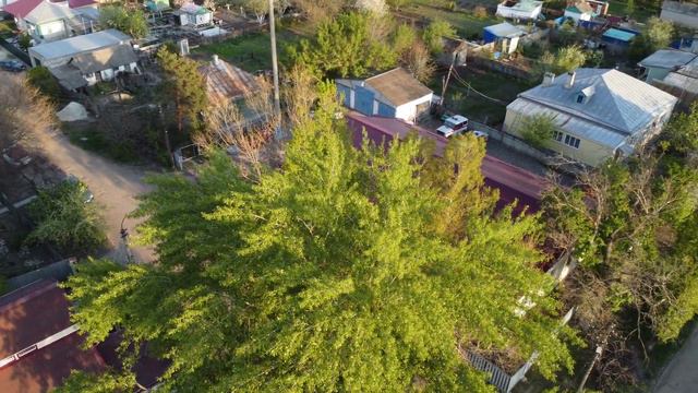 Фролово, Волгоградская об, улица Свердлова смотреть онлайн