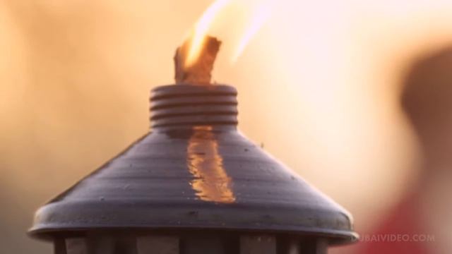 ШАН ТУРС, Пустынное сафари - ОАЭ #ШАНТУРС #Экскурсии #Туризм #Эмираты #desertsafari смотреть онлайн