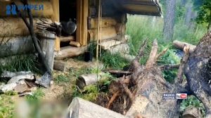 Жизнь отшельника