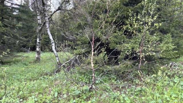 Национальный парк Таганай: Метеостанция, Круглица, Откликной гребень. Погода имеет значение смотреть онлайн