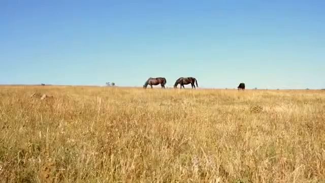 Пространство для йога-тура. Мыс Фиолент. Крым смотреть онлайн