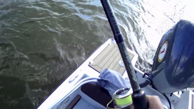 Zander Pro Cup - первый этап - итоги дня смотреть онлайн