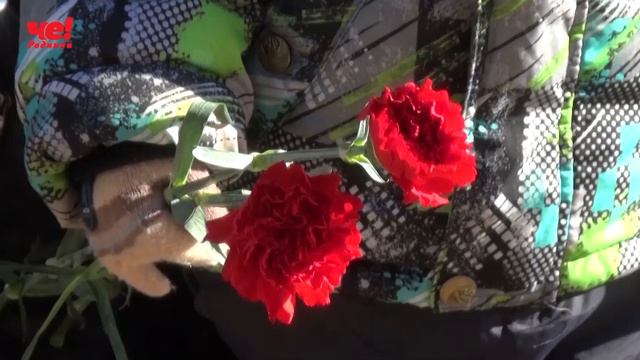 Две четверти часа 20 марта 2020 года смотреть онлайн