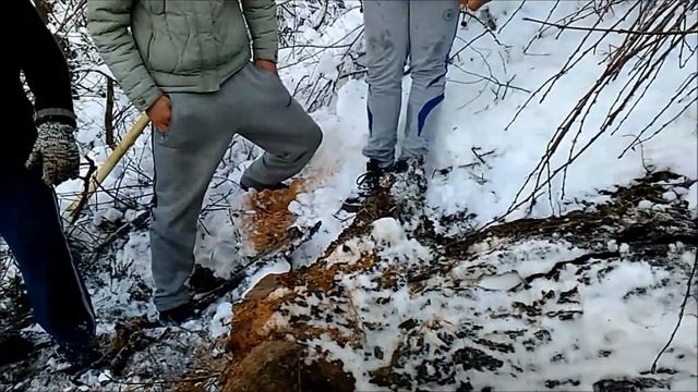 Husqvarna 135 X Torq