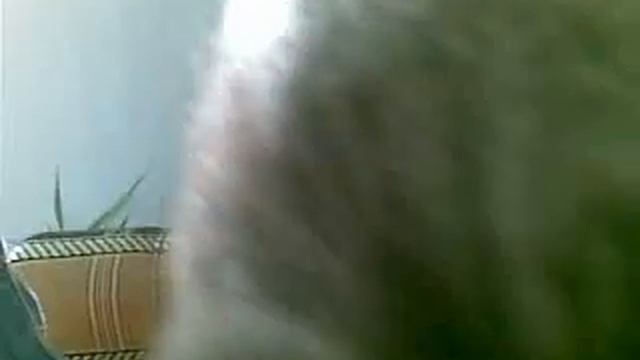 Киса кусается смотреть онлайн