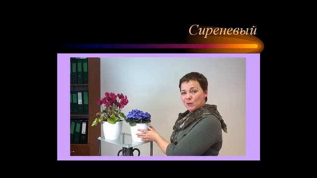 10_Сиреневый цвет. Психология цвета смотреть онлайн