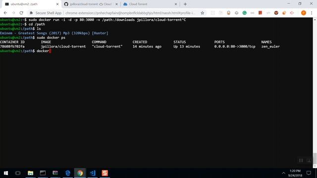 Docker - Containers - Port Forwarding смотреть онлайн
