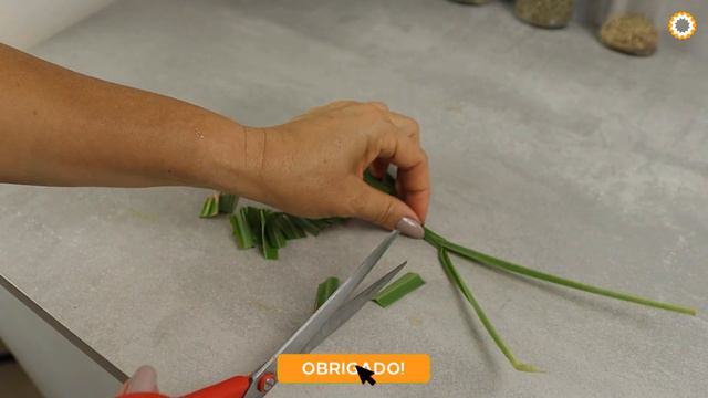 Incrível! Por Que Você Não Pensou Em Fazer Isso Antes ?! O Resultado é Incrível Para A Saúde