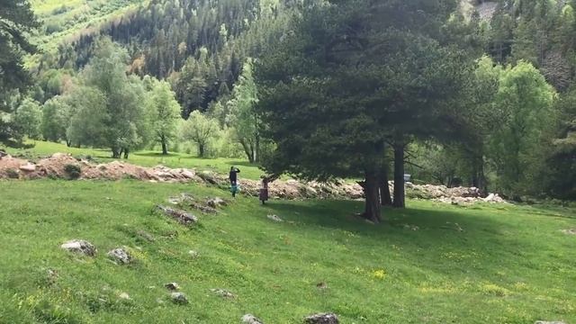 Balham - Почему такое вкусное? смотреть онлайн