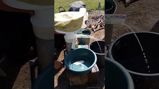 Как делают сметану) смотреть онлайн