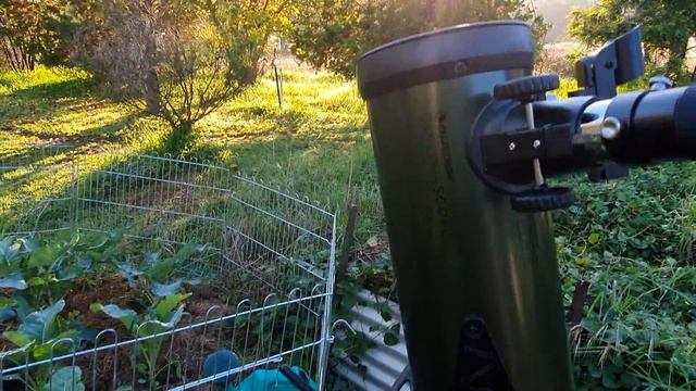 Celestron Explorascope 114 AZ