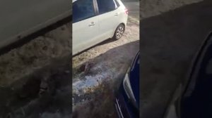 Отзыв клиента ЕВГЕНИЯ НИЖНИЙ НОВГОРОД ПОКУПКА СУБАРУ ЛЕВОРГ. ЧАСТЬ 2