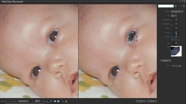 How to Use the Red Eye Tool in PaintShop Pro смотреть онлайн