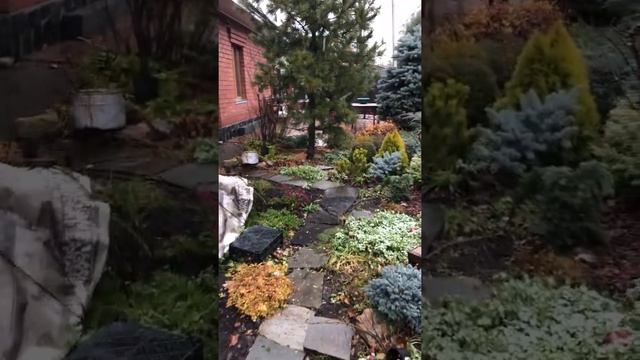 Палисадник слушателя курса "Ландшафтный дизайн - базовый" смотреть онлайн