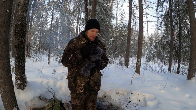 Нашел в лесу замерзающую белку и спас её! Плюсик от гринписа. смотреть онлайн