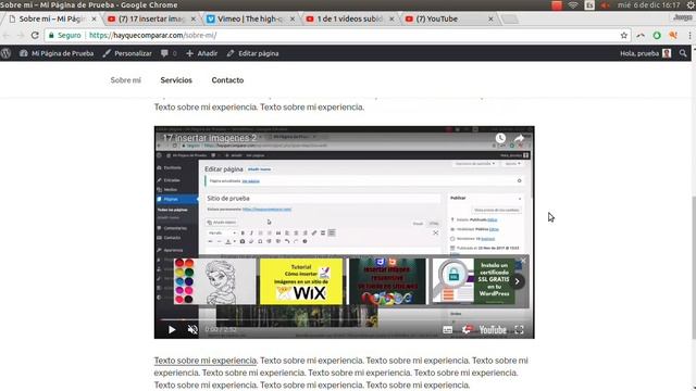 WordPress #25 ➜ Privacidad de videos en WordPress смотреть онлайн