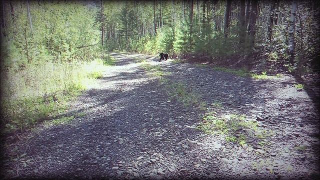 Дорога Домой смотреть онлайн