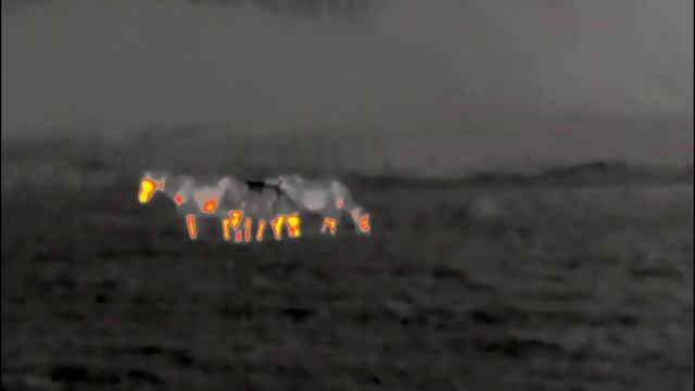 Pulsar Axion XM30s Fox at 130yds смотреть онлайн