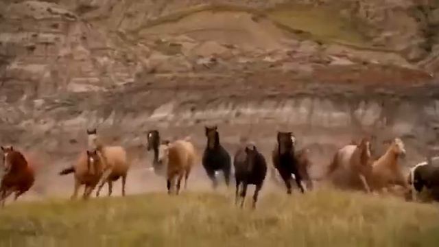 «Волна Жизни 369» Центр Единой Координации воли Отца Творца и передачи информации ЧелоВечеству смотреть онлайн