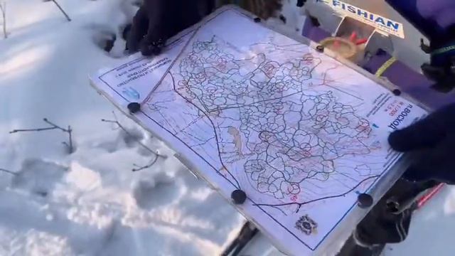 Спортивное ориентирование, г. Хабаровск смотреть онлайн