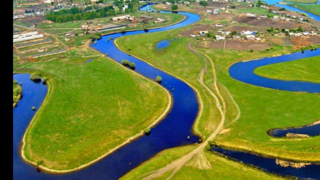 ПОЛЕ РУССКОЕ ПОЛЕ смотреть онлайн