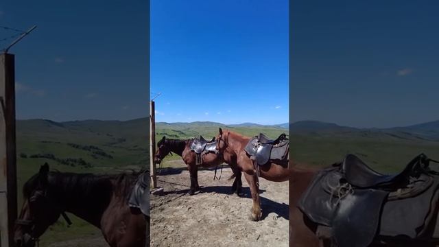 Горный Алтай, что посмотреть?Чертов Палец смотреть онлайн