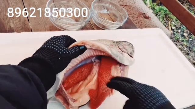 Наша икорная рыбка! Телефон для заказа на видео смотреть онлайн