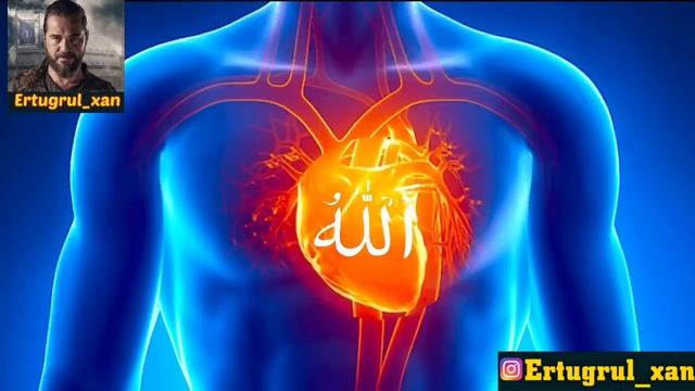 Зикр 100 раз очищает сердце смотреть онлайн