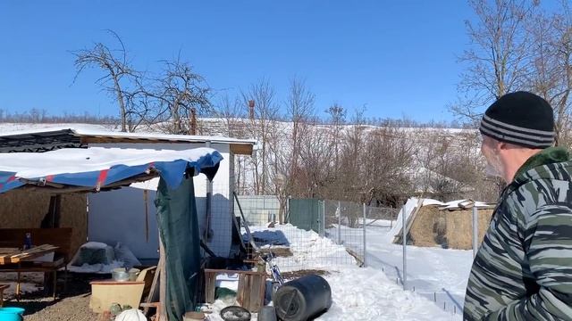 #137 Пробуем омлет из гусиных яиц. Съездили на рынок. Нашли немного дров. смотреть онлайн