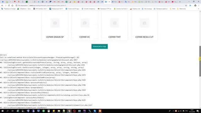 Bitrix Call to undefined method freezeCouponStorage() смотреть онлайн