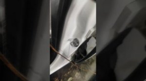 Замена АКБ Фольксваген туарег 2009