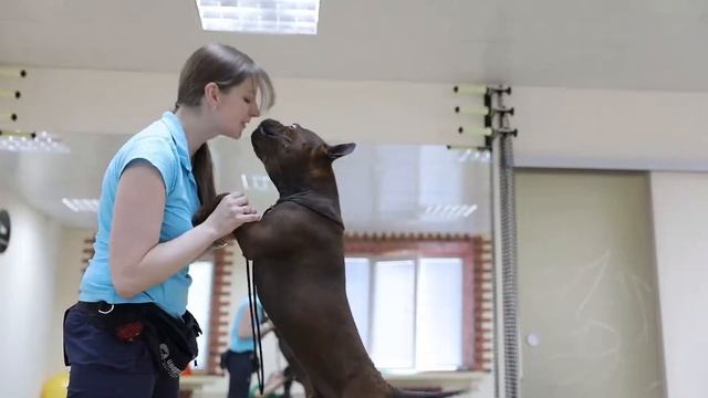 КИТАЙСКИЙ ЧУНЦИН CHINESE CHONGQING