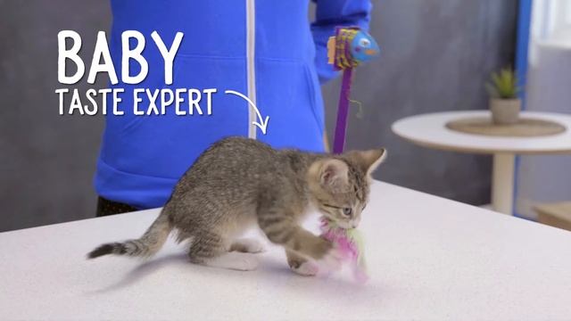 Nutri-Vet For Cats смотреть онлайн