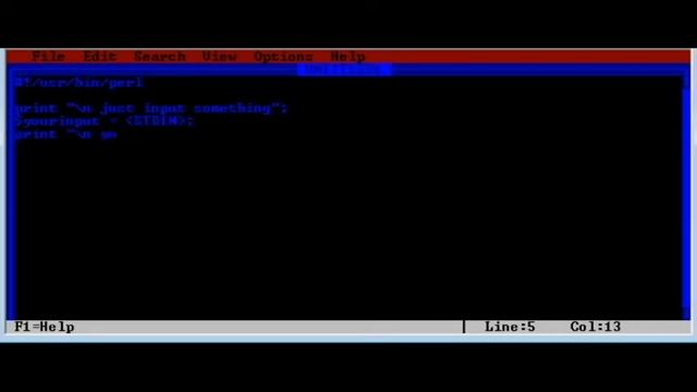 perl language - input смотреть онлайн