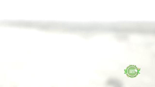 Поселок Дачный Уездъ смотреть онлайн