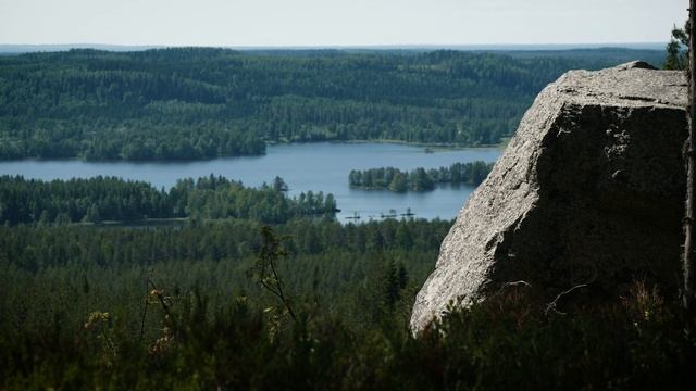 Koli National Park (Finland) on midsummer смотреть онлайн