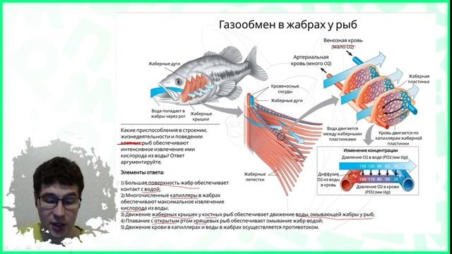 Тема №2: Новое в ЕГЭ смотреть онлайн