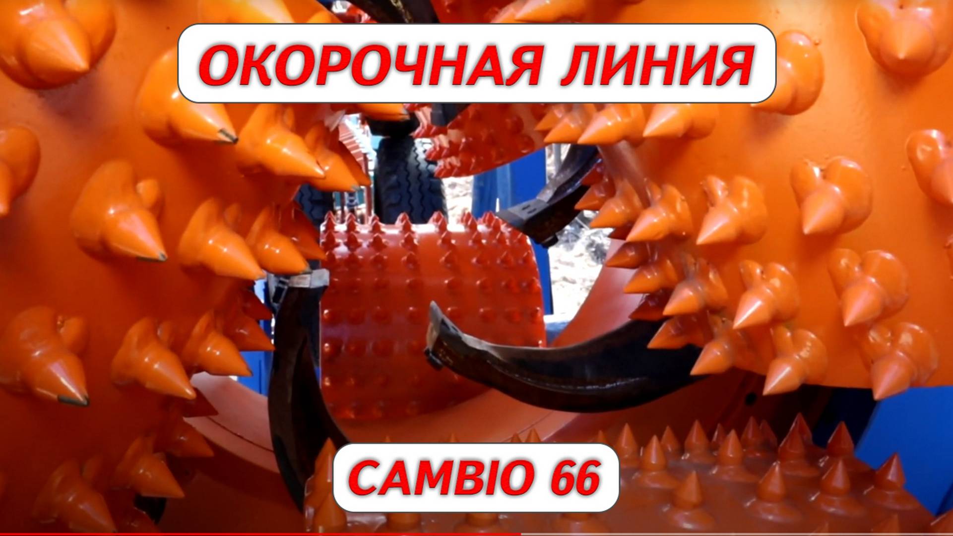 Окорочная линия Cambio 66 смотреть онлайн