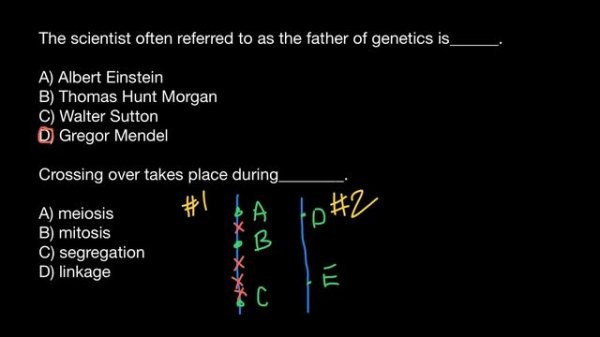 Meiosis, Mitosis, Assortment, Linkage explained