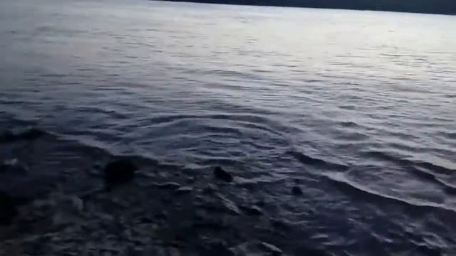 На брега на река Дунав смотреть онлайн